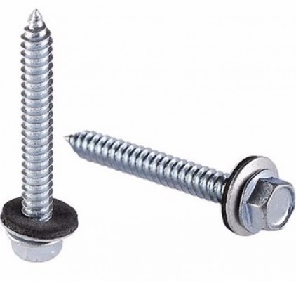 screw and washer assembly
